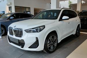 BMW BMW X1 xDrive23d