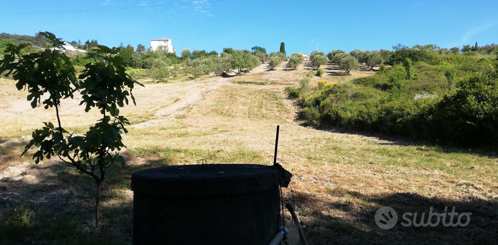 RIMESSAGGIO Con TERRENO - Vista 3