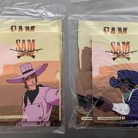 SAM IL RAGAZZO DEL WEST - due DVD della Serie TV