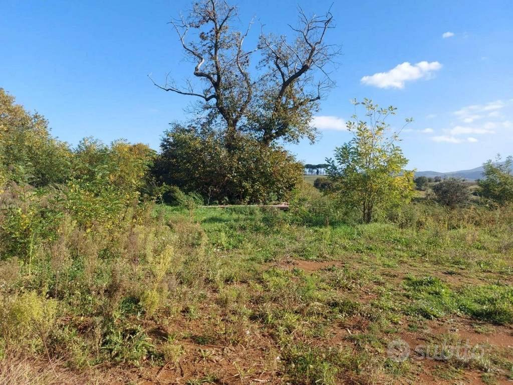 Immobile in asta di 3640 m² a Artena - Altro