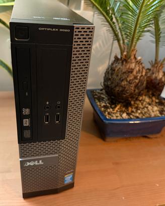 PC Dell OptiPlex 3020 - 4GB 500GB Win10