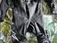 Immagine 1