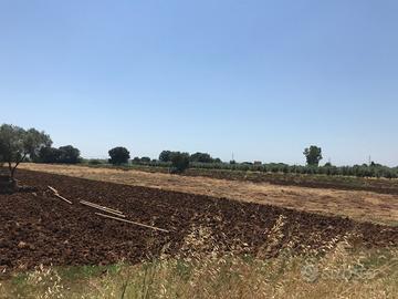 Terreno Industriale Edificabile Pontinia