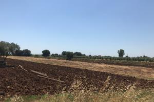 Terreno Industriale Edificabile Pontinia