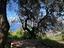 Immagine 13