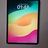 ipad pro 11" 256gb 