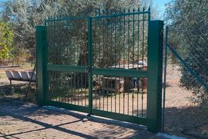 terreno agricolo uliveto 