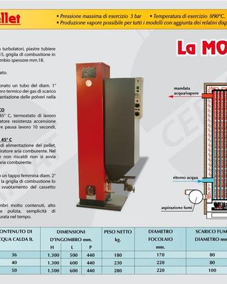 Caldaia 20/40 kw. a combustibili solidi