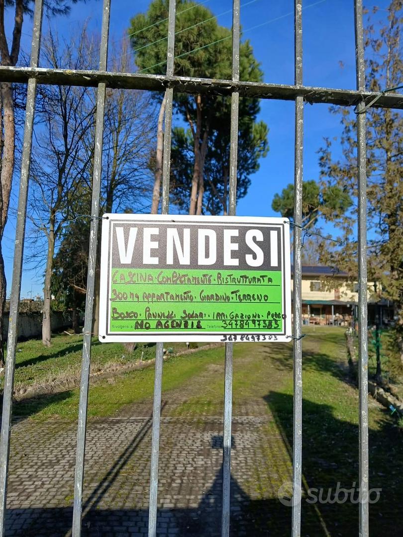 Casa – Vercelli, Brut Fond, Centro - Vista 4