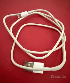 Cavo da Lightning a USB, Originale Apple 1m