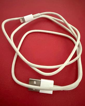 Cavo da Lightning a USB, Originale Apple 1m