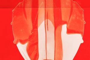 CUPOLINO PARABREZZA DUCATI 1098