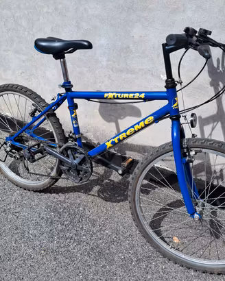 Bici ragazzi 24
