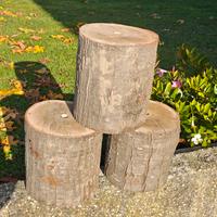 Tronco per Base Decorativa Albero di Natale