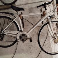 city bike uomo Cobran Rimini bicicletta 