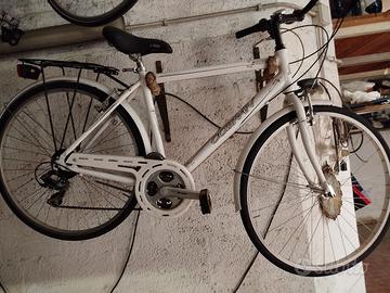 city bike uomo Cobran Rimini bicicletta 