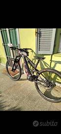 e-bike