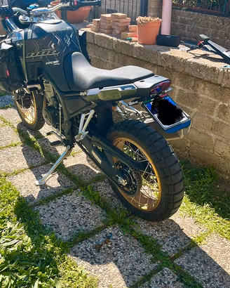 Portatarga kove 800