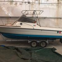 Barca a motore