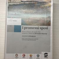 I promessi sposi edizione integrale 