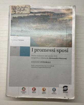 I promessi sposi edizione integrale 