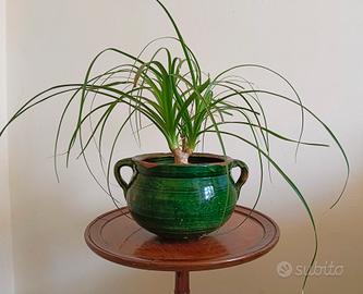 Antica Cuscusiera in terracotta smaltata 