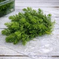 Cerathophyllum demersum da laghetto naturale