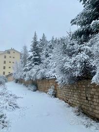 CampoFelice 7 posti letto Villaggio Pratolonaro II