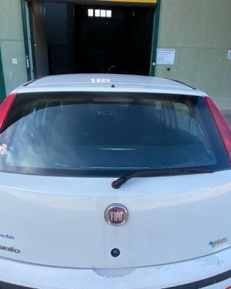 PORTELLONE PER FIAT PUNTO III 188 2004