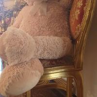  peluche: Orsetto in peluche 