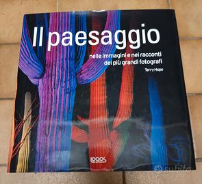 il paesaggio 