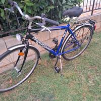 bicicletta city biennale ruote da 28