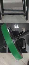 Roller per addominali e braccia 6,3kg