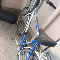 Bicicletta