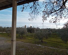 Casa con terreno agricolo