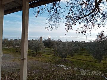 Casa con terreno agricolo