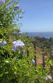 Appartamento con vista mare e montagna