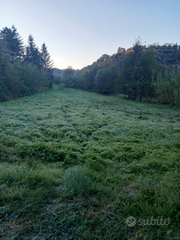 Terreno pianeggiante