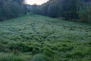 Terreno pianeggiante