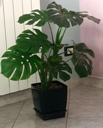   n.2  pianta da arredo plastica cad.una