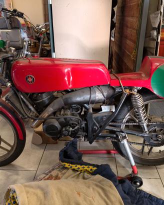 moto benelli quattro 250cc del 1976