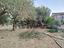 Immagine 20
