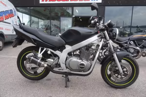 SUZUKI GS 500 E (2001 - 06) GS 500 E