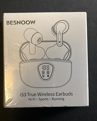 Auticolari Besnoow grigio