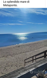 Villa max 7 posti in villaggio turistico al mare