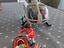 Immagine 1