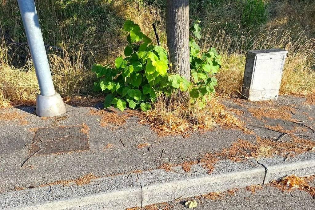 Immobile in asta di 485 m² a Bertinoro - Vista 4