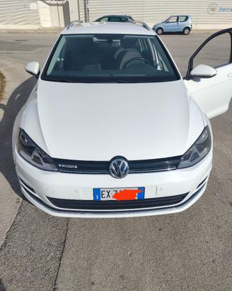 Golf Variant  SW 1.4 TDI High Dsg 110 CV