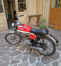 Corsarino Morini