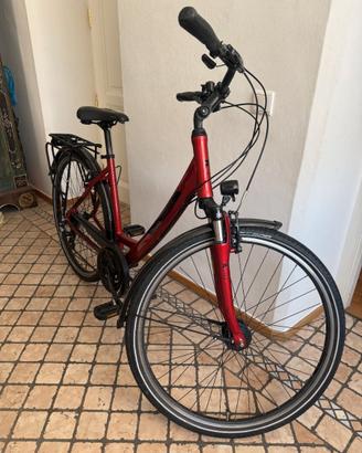 Bicicletta City Pegasus donna bike